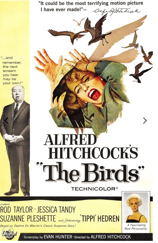 capitola california the birds movie poster hitchcock