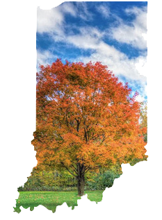Interesting Facts Indiana