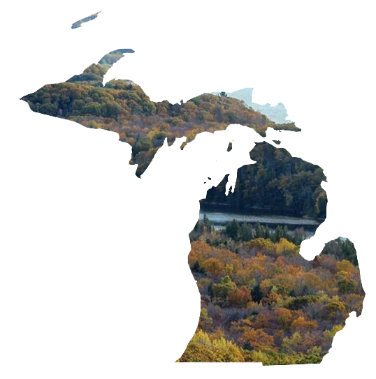 Interesting Facts Michigan