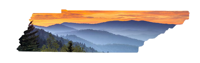 Interesting Facts Tennessee
